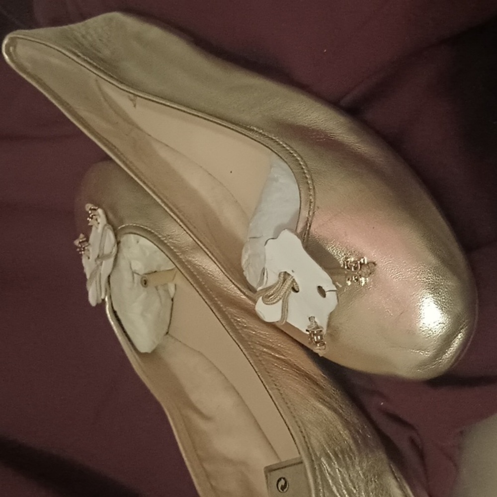Felicia Luxe Ballet Flat